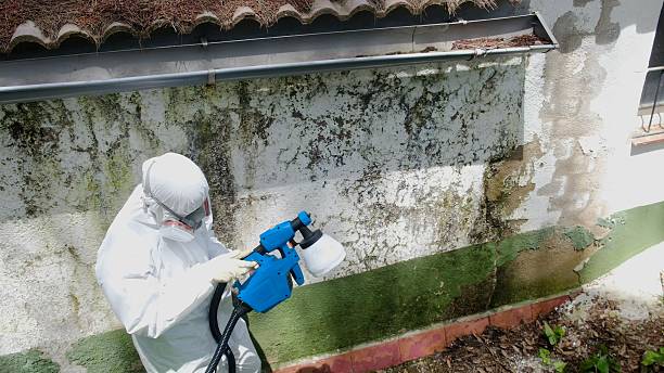 Top rated local Mold Remediation specialists in Churchville, PA